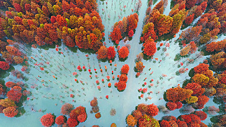 成品人和精品人的區(qū)別,游戲達(dá)人揭秘：成品人與精品人有何不同？-2