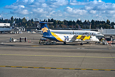 91制片女主顏值排行榜：女明星顏值榜：女神們的魅力對決-1