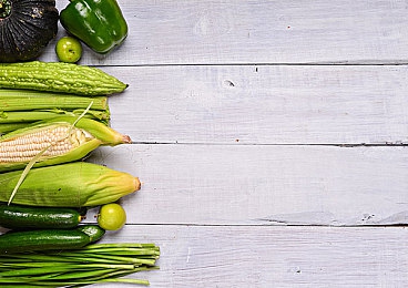 404黃色視頻：神秘虛擬世界，探秘《404》游戲