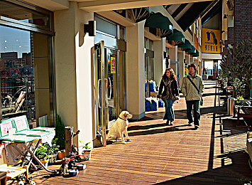 Q爆乳汗だく肉感レズビア：健身新潮流，同性戀主題課程引關注-1