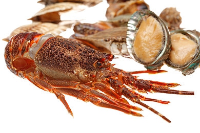 GayFuck無(wú)套：同性戀性行為引發(fā)安全警示-1