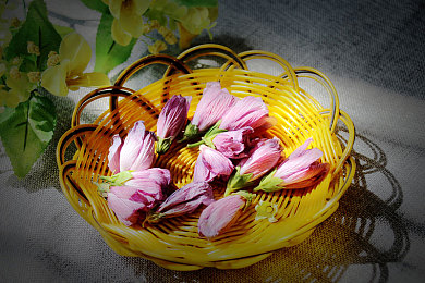 天天干天天爽,游戲新寵：暢爽冒險(xiǎn)，天天干天天爽-1