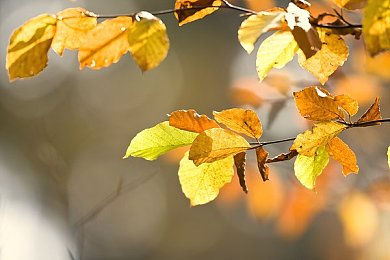 69樂園成功日記樂園成功故事：創(chuàng)新樂園崛起，用戶狂歡記