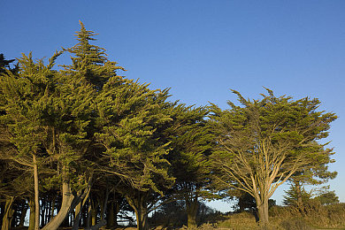 ONE一個成人世界一個成長含義:職場成長秘訣:揭秘成人世界挑戰(zhàn)與機遇-3