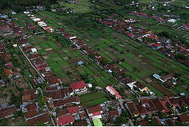 唐三插曲比比東不來不亦樂乎NBA,NBA缺席奇觀，籃球文化引關(guān)注-3