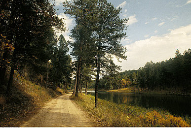 2023最新黃色軟件:揭秘最新黃色軟件:安全風險大揭秘-3