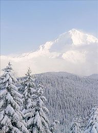 av入口：游戲新寵：奇幻探險(xiǎn)熱浪來襲-1