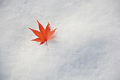 19歲最強rapper老狼：電競說唱新星，老狼逆風(fēng)翻盤-2