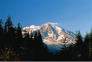 ONE一個成人世界一個成長含義:職場成長秘訣:揭秘成人世界挑戰(zhàn)與機遇-4