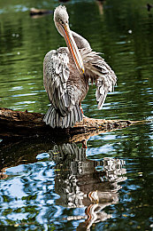 kimkardshain和RayJR的錄像帶：“神秘錄像引爆，名流戀情疑云”-2