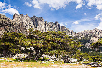 91色虎:短視頻新秀:91色虎崛起之謎-2