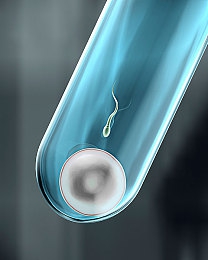 JUⅰaAnn與黑人A片：影視新星激情碰撞，火花四濺-1