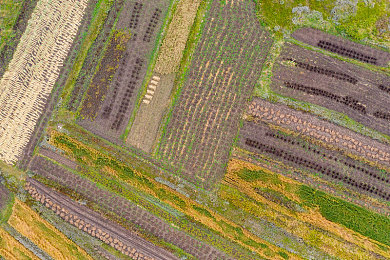 JuliaAnn與黑人的粗大：游戲界神級(jí)組合，JuliaAnn與黑人玩家默契搭檔-2