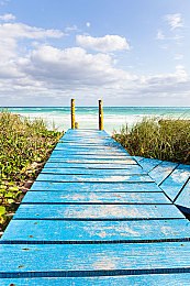 8x8x海外華為永久更新入口在哪：華為手機更新攻略，海外用戶必看！-4