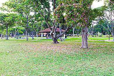 99熱只有：奇幻冒險新高度，游戲世界等你來-3