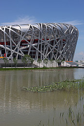 唐三插曲比比東不亦樂乎nba,《斗羅大陸》唐三NBA對決，精彩紛呈！-3