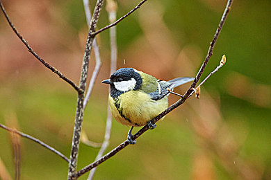 三個(gè)老頭擁著躁我,公園驚現(xiàn)道德淪喪，三位老人行為引發(fā)社會(huì)關(guān)注-2