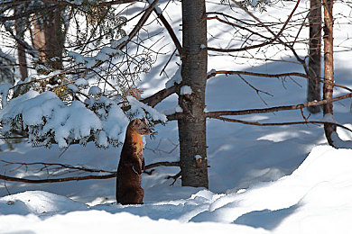 404禁用軟件：揭秘“404禁用軟件”：隱私與安全危機(jī)-2