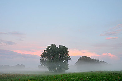 1級(jí)黃片:網(wǎng)絡(luò)風(fēng)暴:揭秘“1級(jí)黃片”事件-2