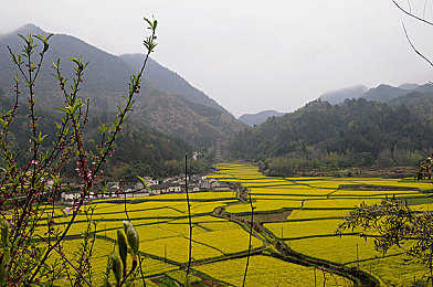 10大禁止黃色軟件：游戲圈驚爆：10大禁黃軟件曝光，玩家警惕！-2