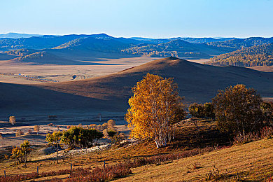 Juliaann辦公室與黑人：都市辦公室：多元文化碰撞的溫馨港灣-2