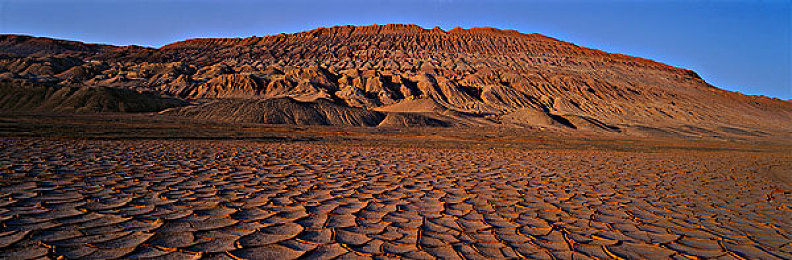 10000個免費實名認證號碼：實名認證福利大放送，安全便捷享不停-3