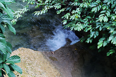 8x8x海外華為皇冠：華為海外新旗艦，科技皇冠再崛起-2