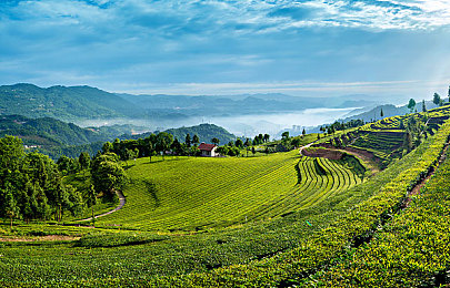 2021年的三 片日劇