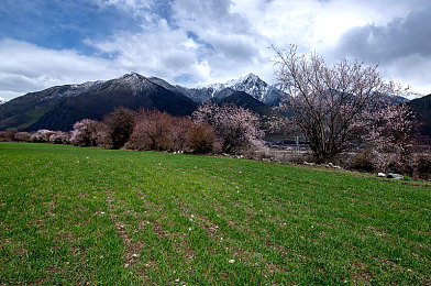 juliaann與黑人：博主跨國友誼，文化交流促和諧