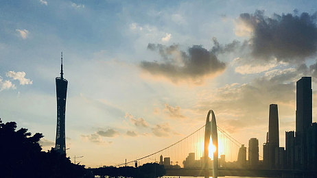 成人的世界一個(gè)就夠了,都市白領(lǐng)的減壓秘籍，輕松游戲體驗(yàn)寧靜時(shí)光-1