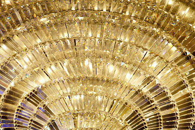 ass富婆肉體dyis濃密蔭毛：神秘世界探險(xiǎn)記-2