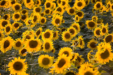 91w乳液78w78w乳液：奇幻冒險(xiǎn)新體驗(yàn)，游戲畫(huà)面驚艷眼球-3