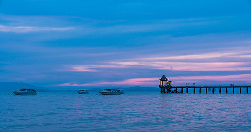 Asian多毛美鮑欣賞：海洋藝術(shù)品：探尋神秘美鮑之美-3