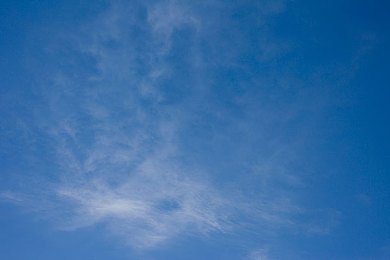 91制片女主顏值排行榜：女明星顏值榜：女神們的魅力對決-2