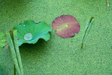 未滿十八十八免費無碼網站,奇幻異世界冒險，免費無碼游戲來襲-4