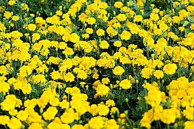 KTV被陌生男人啪到爽:KTV奇遇:男子意外“爽”翻天-3