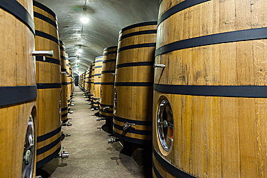 未滿十八十八免費無碼網站,奇幻異世界冒險，免費無碼游戲來襲-5