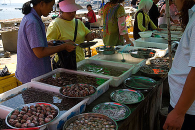 唐三抽曲比比東不亦樂乎NBA,籃球新星唐三，NBA賽場展風(fēng)采