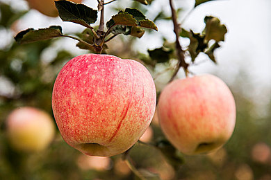 jalapwaswaswaskino291：新軟件崛起，網(wǎng)絡(luò)安全無(wú)憂-2