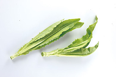 69少婦：69歲“少婦”走紅：傳奇人生引關(guān)注-3