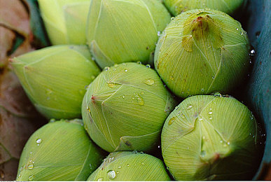 99re6久熱只有精品6在線直播：直播盛宴，99re6引領(lǐng)潮流-4