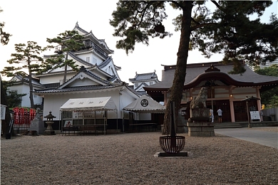 csgo暴躁妹妹值得培養(yǎng)的裝備：CS：GO暴躁妹妹秘籍曝光-2