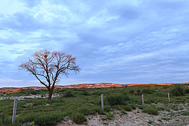 Erodensha列車(chē)最新版本更新內(nèi)容：高鐵升級(jí)，綠色出行新體驗(yàn)