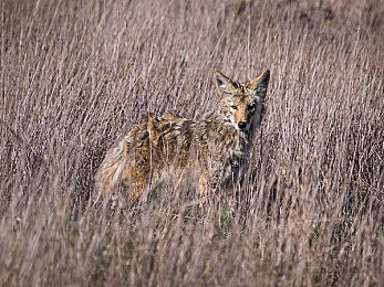 404禁用軟件下載：游戲凈化風(fēng)暴，玩家權(quán)益大保護(hù)-4