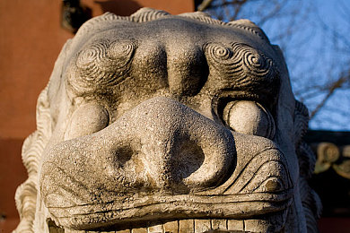 2021年的三 片日劇-2