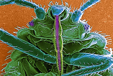 gay自慰:探索LGBTQ+自慰:揭秘心理與性健康之謎-4