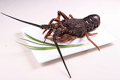 404黃色視頻：神秘虛擬世界，探秘《404》游戲-3