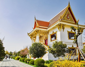 juliaann熟婦和黑人：熟婦擁抱黑人，友誼傳遞正能量-4