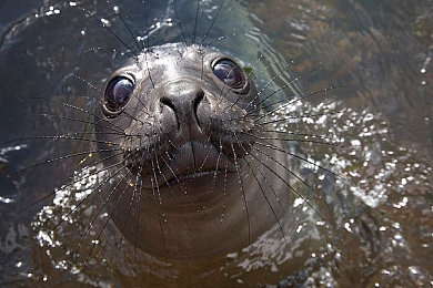 juliaann熟婦與小伙子：熟婦小伙跨國愛戀，愛情無界！-3