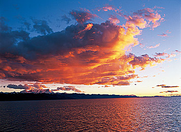 EⅤeLynLin張麗pk黑人：音樂對(duì)決燃情上演，誰將征服舞臺(tái)？-4